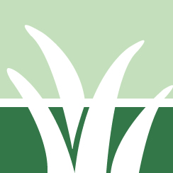 Organic Lawn Care
