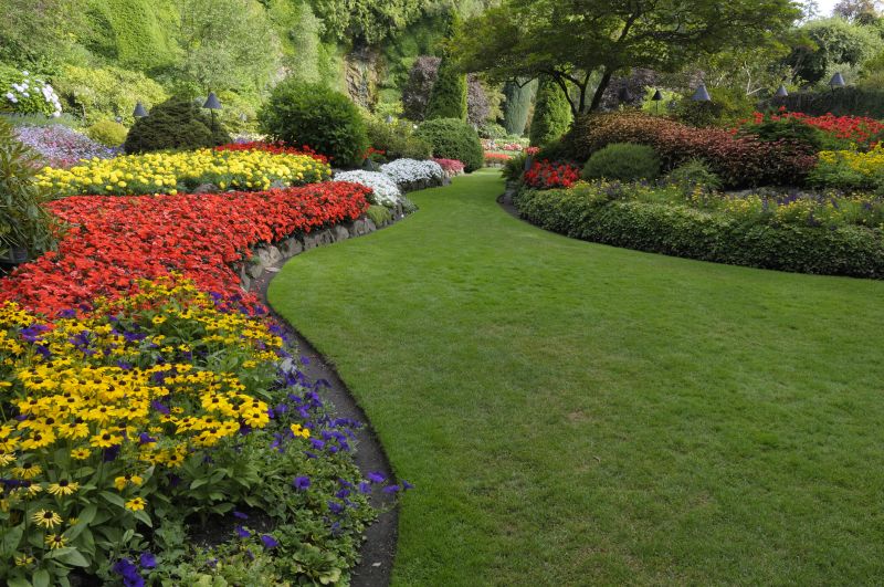 Organic Lawn Care