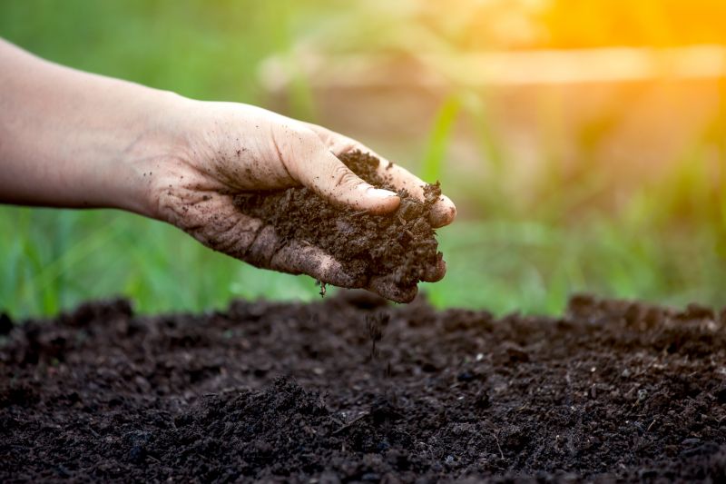 Cost of Organic Lawn Care — Cost of Organic Lawn Care