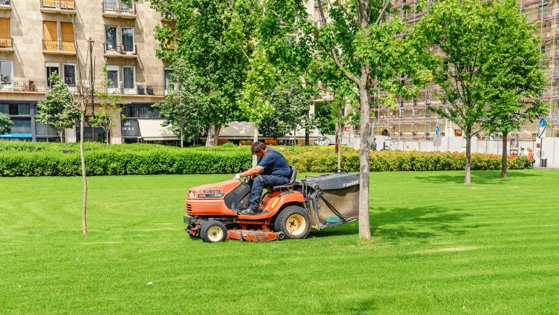 Commercial Lawn Maintenance