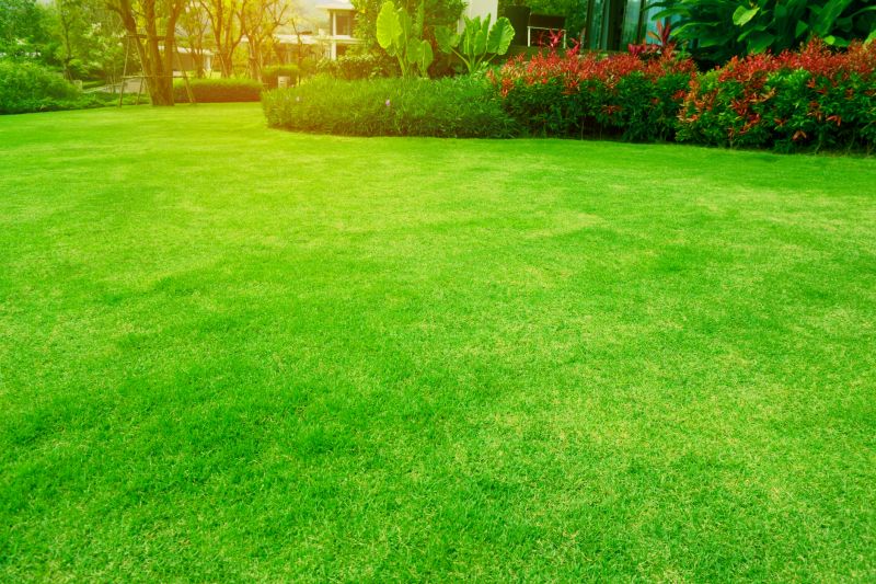 Organic Lawn Care