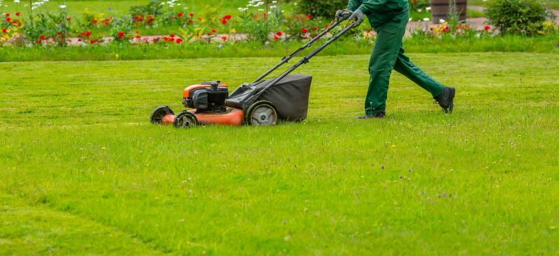 Organic Lawn Care