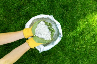 Organic Lawn Maintenance Companies
