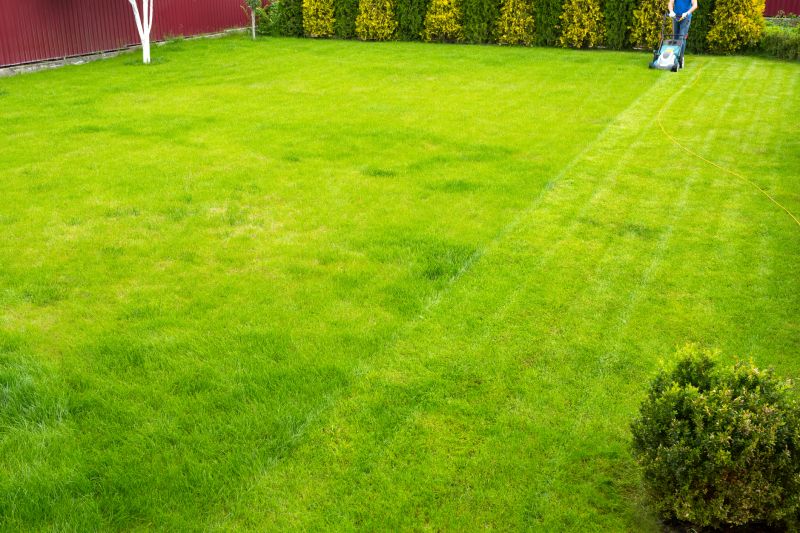 Independent Organic Lawn Care Providers