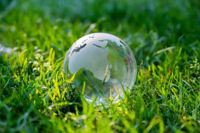 Protect the Ecosystem with Organic Lawn Care!