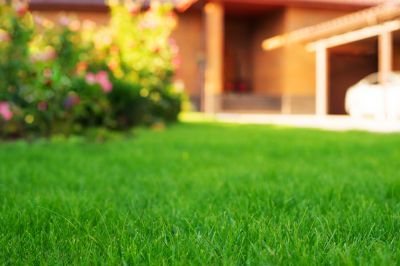 Get Environmentally Friendly Lawn Care Service!